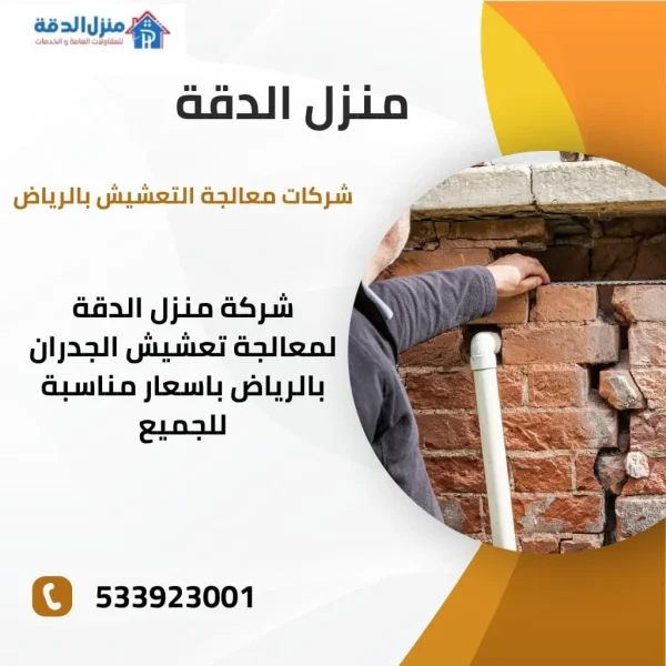 افضل شركات معالجة التعشيش بالرياض